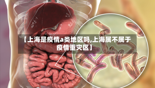 【上海是疫情a类地区吗,上海属不属于疫情重灾区】-第2张图片