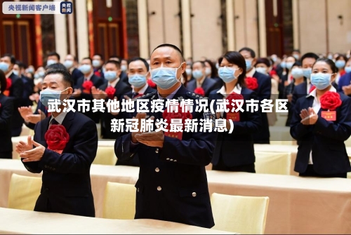 武汉市其他地区疫情情况(武汉市各区新冠肺炎最新消息)