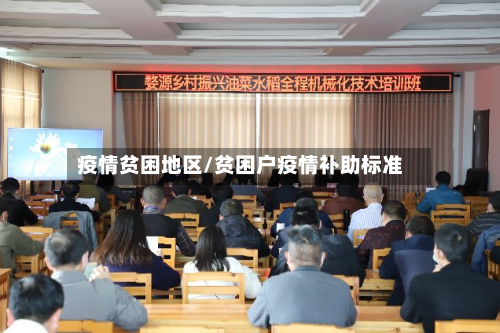 疫情贫困地区/贫困户疫情补助标准