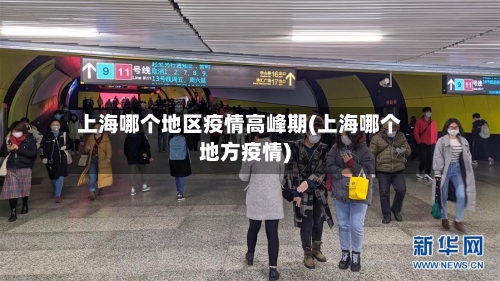 上海哪个地区疫情高峰期(上海哪个地方疫情)-第2张图片