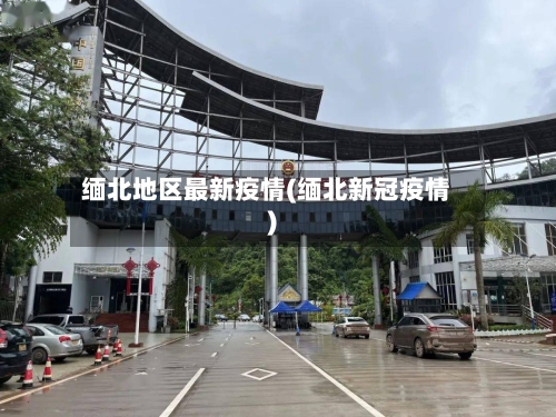 缅北地区最新疫情(缅北新冠疫情)-第2张图片